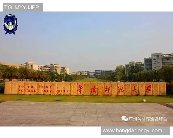 广州篮球队运营新策略解析与市场发展前景展望